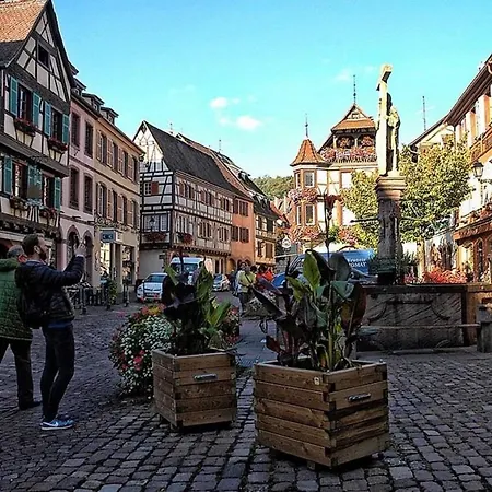 Chalet Prestige Avec Sauna Fréland