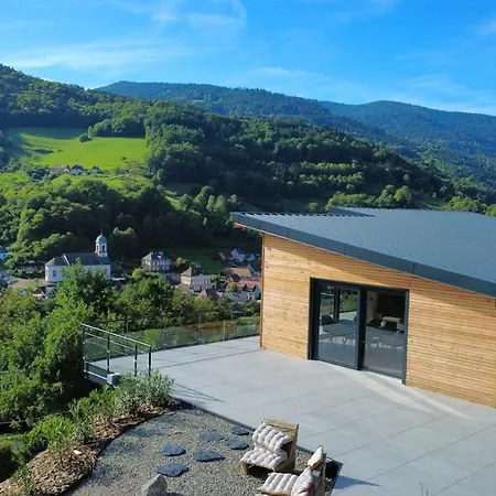 Prestige Climatise Avec Sauna Et Jacuzzi